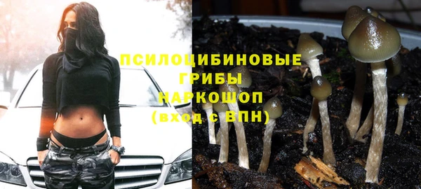 прущая мука Аркадак