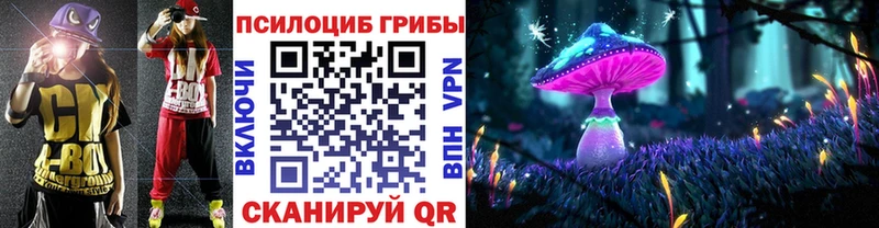 Галлюциногенные грибы GOLDEN TEACHER  купить наркотик  Павловский Посад 